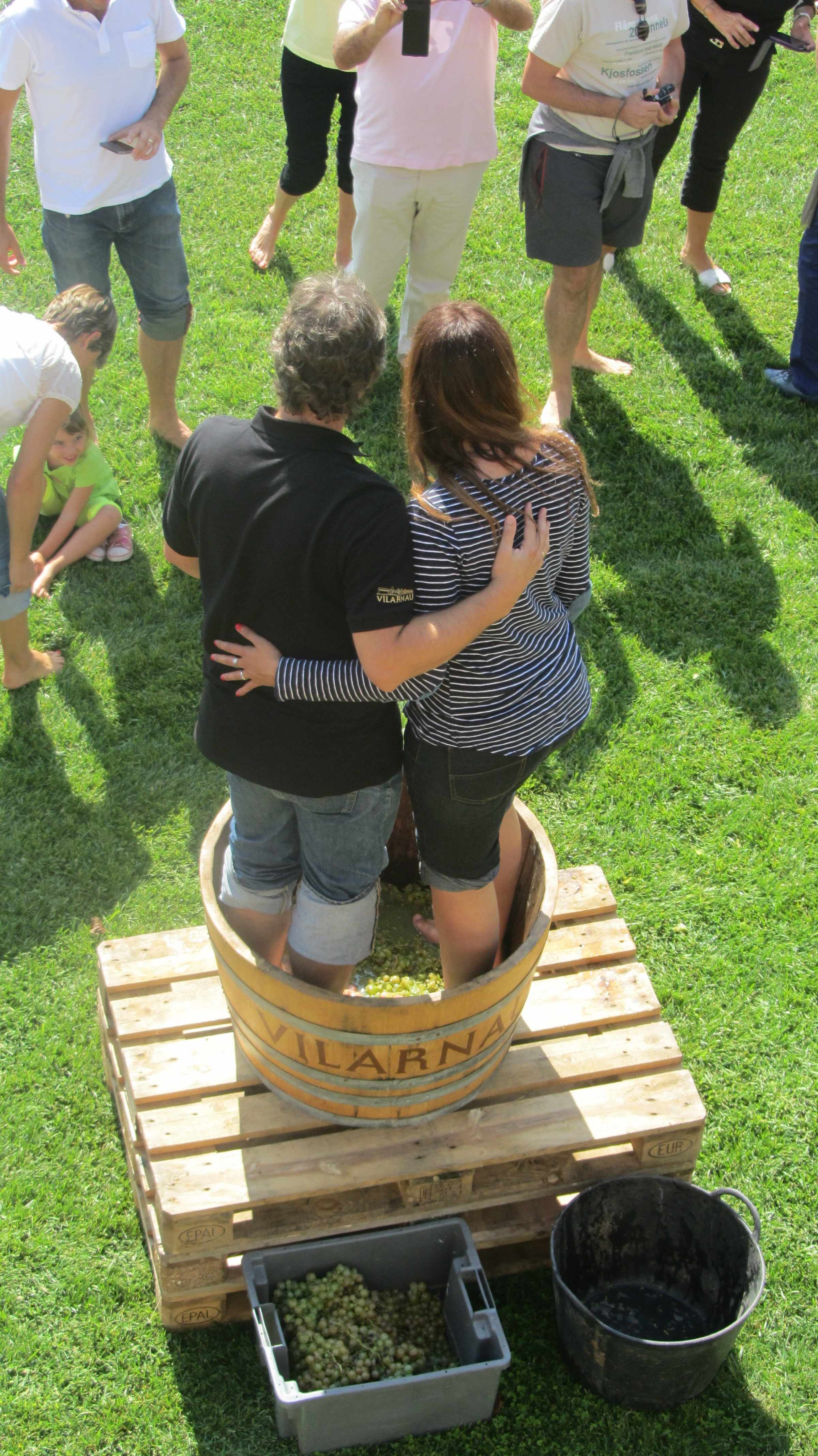 Visita Pisado de uva Vilarnau