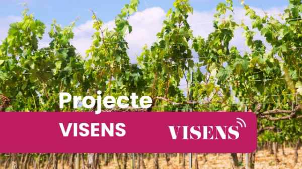 Projecte Visens