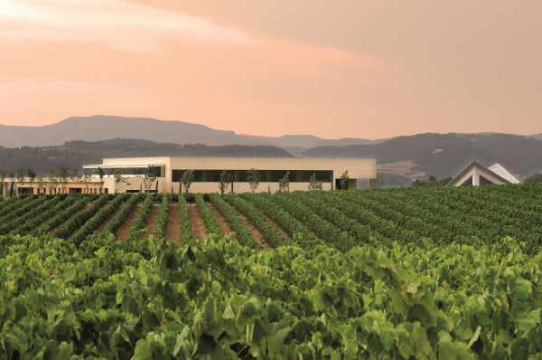 WINERIES FOR CLIMATE PROTECTION