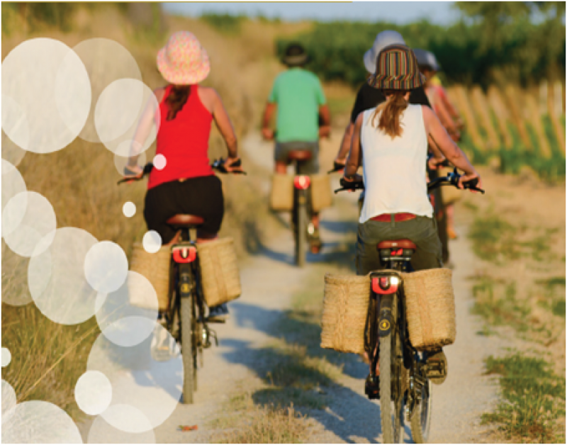 Visita Bicicleta eléctrica o convencional Vilarnau