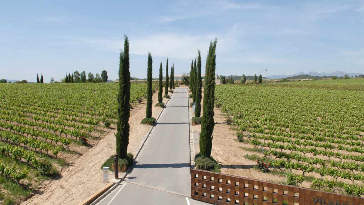Caves Vilarnau Caves Vilarnau