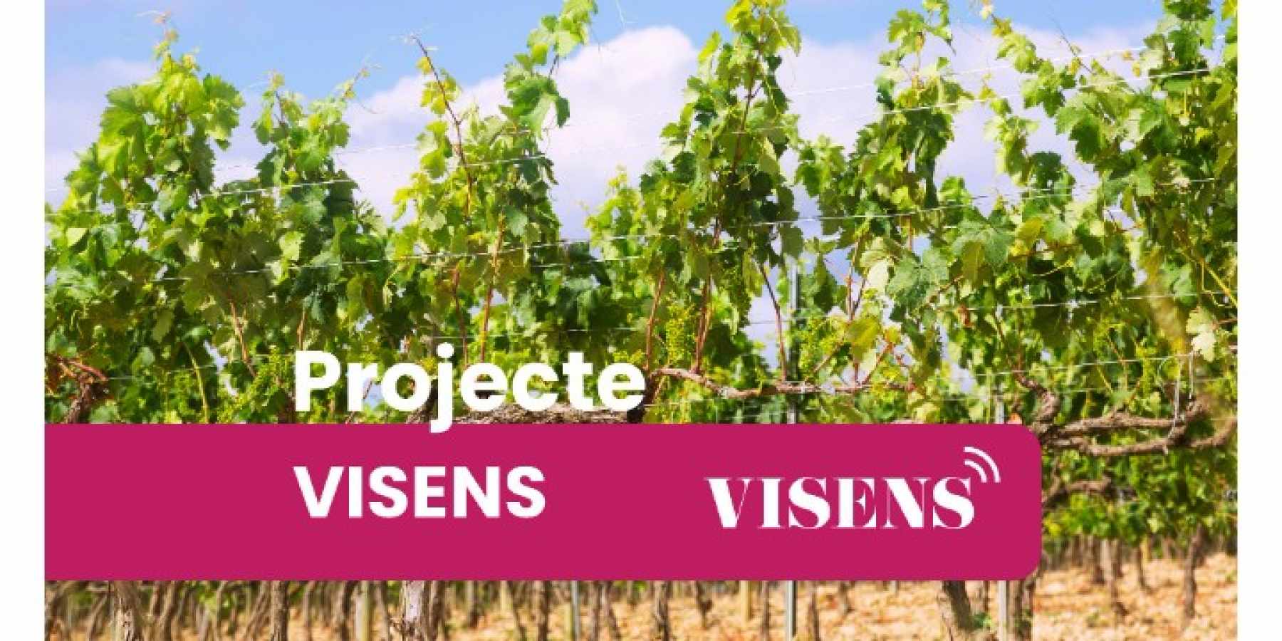 Projecte Visens