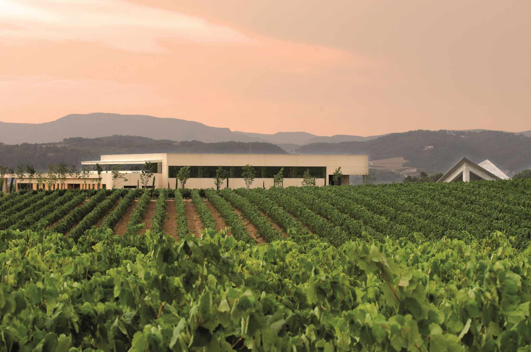 WINERIES FOR CLIMATE PROTECTION